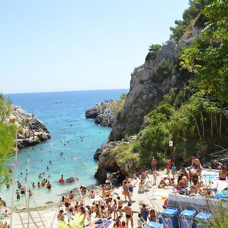B&B Le Rose Vignacastrisi Εξωτερικό φωτογραφία