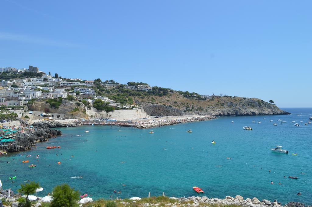 B&B Le Rose Vignacastrisi Εξωτερικό φωτογραφία